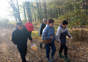 zdjęcie przedstawia grupę seniorów na grzybach 