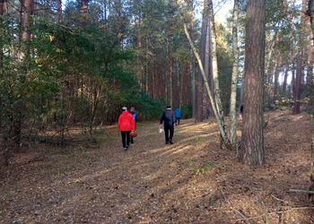 zdjęcie przedstawia grupę seniorów na grzybach 