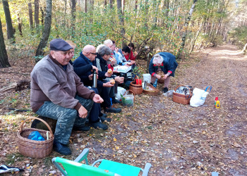 zdjęcie przedstawia grupę seniorów na grzybach 