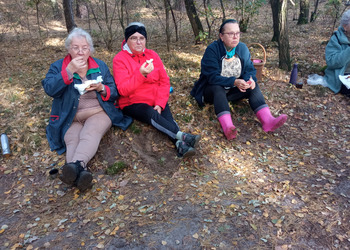 zdjęcie przedstawia grupę seniorów na grzybach 