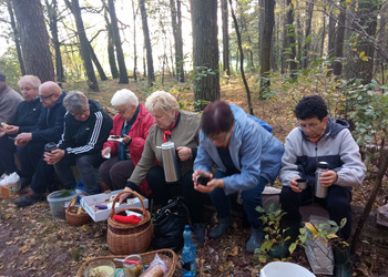 zdjęcie przedstawia grupę seniorów na grzybach 