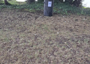 zdjęcie przedstawia kosz na śmieci nad jeziorem