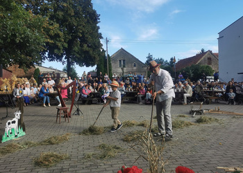 występy artystyczne