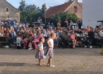 występy artystyczne