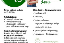 Badanie pogłowia świń oraz produkcji żywca wieprzowego (R-ZW-S) na terenie Gminy Wijewo